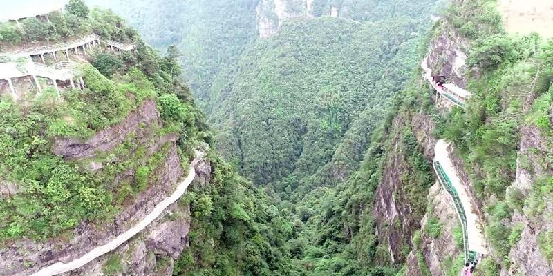 宜州区 7万多亩冬种作物铺就致富路