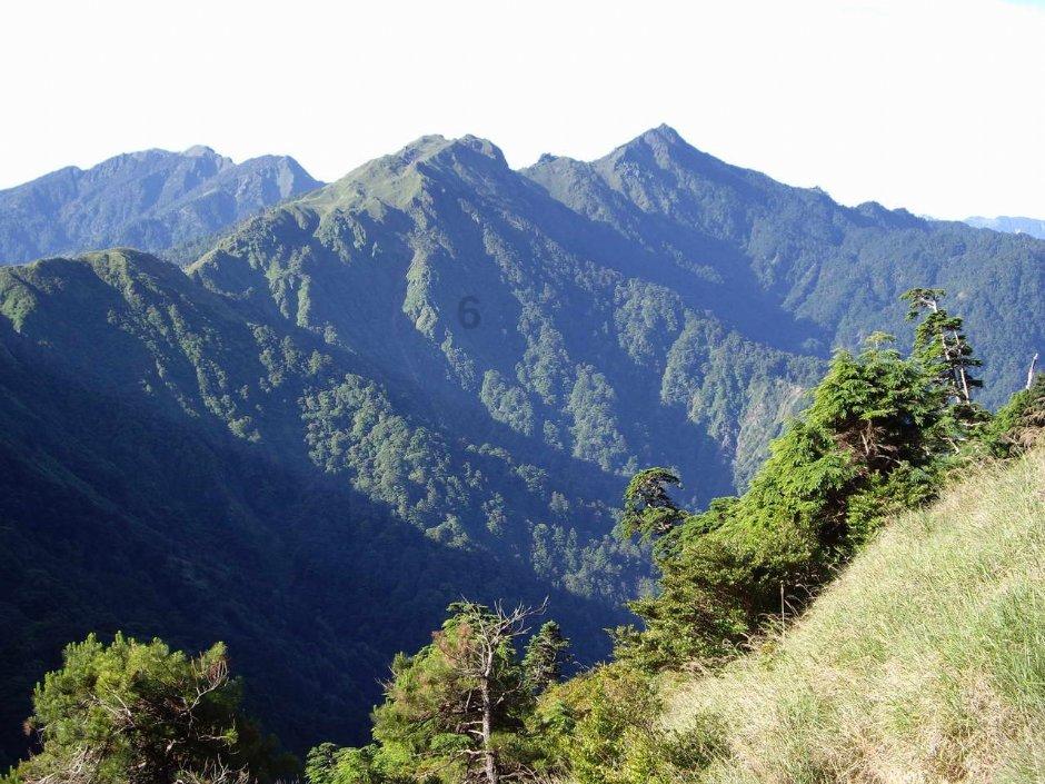 柳林县“点线网面”四维驱动推动基层治理现代化建设